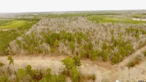 tbd Cr 2307 Beasley Rd, Lone Star, TX 75668