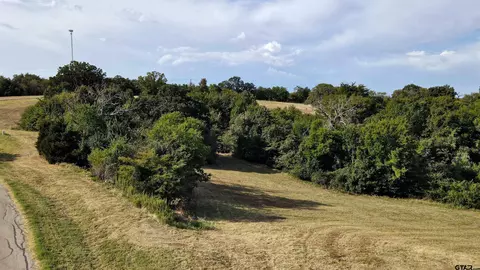 lot255 Overlook Pt, Athens, TX 75752