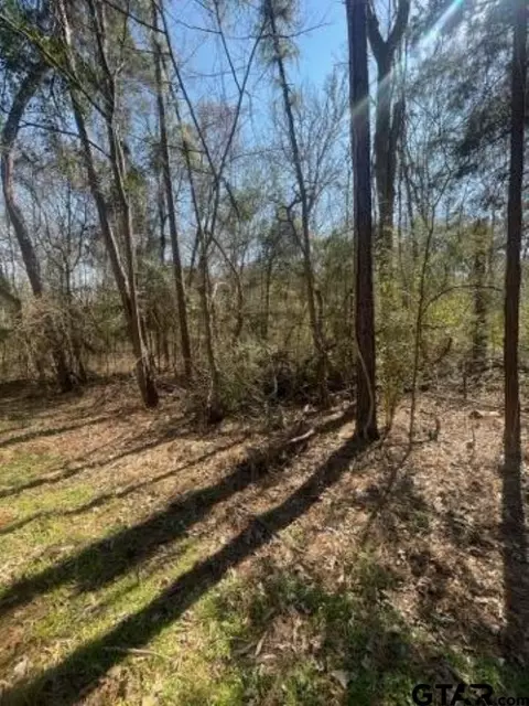 214 Forest, Bullard, TX 75757