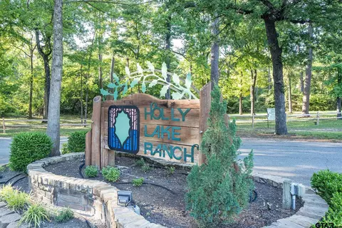 130 Pueblo Path, Holly Lake Ranch, TX 75765