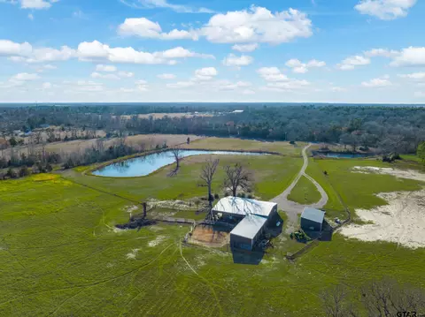 3397 Vz County Road 4412, Ben Wheeler, TX 75754
