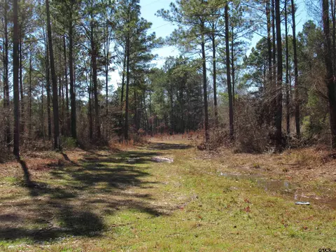 105 4 C Hwy 84, Reklaw, TX 75784