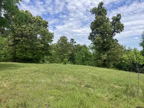 tbd Ridgeline Loop #LOT 92, Winona, TX 75792