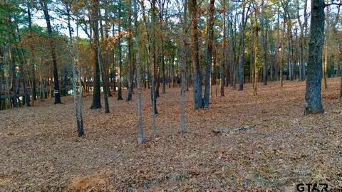 tbd Hickory Trl, Flint, TX 75762