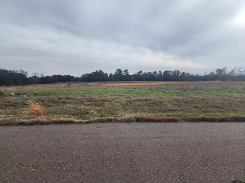 tbd Lot 52 Southshore, Pittsburg, TX 75686