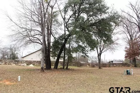 103 Palomita Cv, Athens, TX 75752