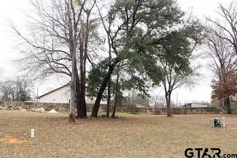 103 Palomita Cv, Athens, TX 75752
