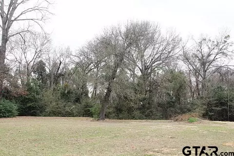 107 Palomita Cv, Athens, TX 75752
