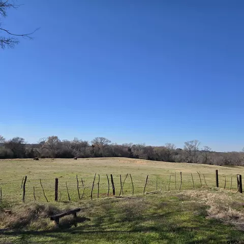 20688 County Road 178, Flint, TX 75762