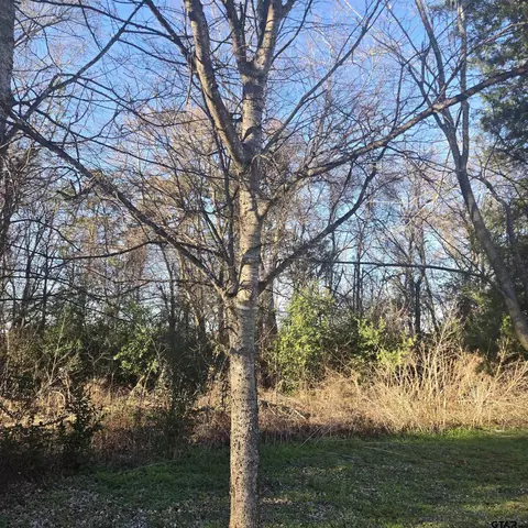tbd Rolling Wood Hills Subdivision, Bullard, TX 75757