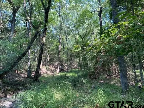 Tr 4-a Cr 41514, Athens, TX 75751