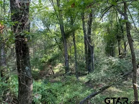 Tr 3-a Cr 41514, Athens, TX 75751