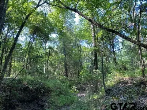 Tr 4-b Cr 41514, Athens, TX 75751