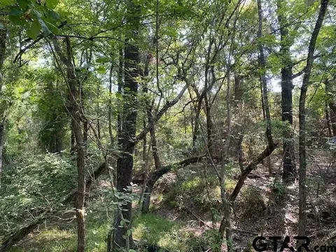Tr 3-b Cr 41514, Athens, TX 75751