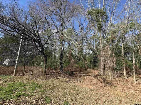 tbd Private Road 52040, Pittsburg, TX 75686
