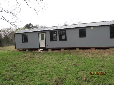 11228 Cr 4355, Larue, TX 75770