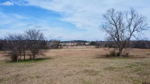 tbd Cr 1460-1, Linden, TX 75563