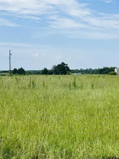 tbd County Road 4702, Ben Wheeler, TX 75754