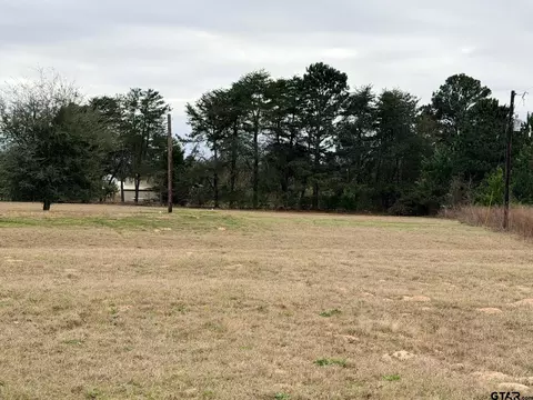 198 Crockett, Bullard, TX 75757