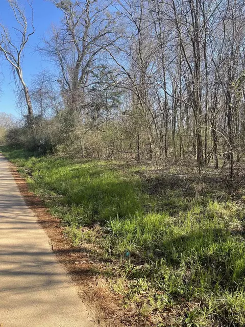 tbd Cr 2151, Troup, TX 75789