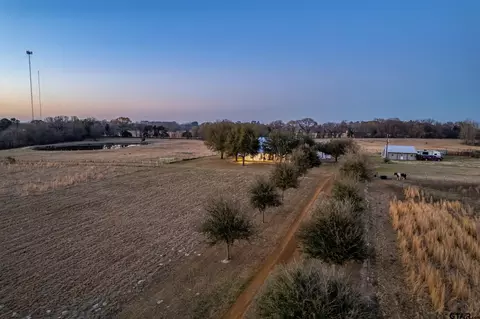 6751 Cr 4710, Larue, TX 75770