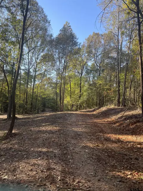 tbd Woodchuck Rd, Pittsburg, TX 75686