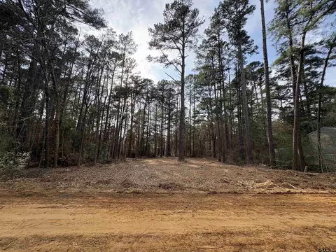 1571 Red Bud Cir, Bullard, TX 75757