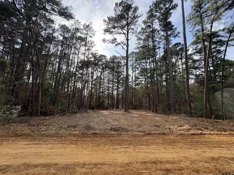 1571 Red Bud Cir, Bullard, TX 75757