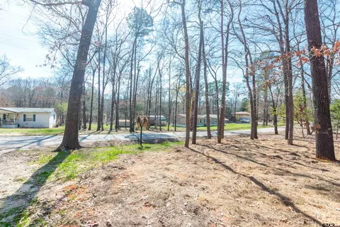 255 Cr 3496, Hawkins, TX 75765