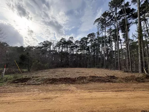 269 Sand Jack Dr, Bullard, TX 75757