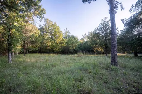 lot S 234748 Kings Country Blvd, Scroggins, TX 75480