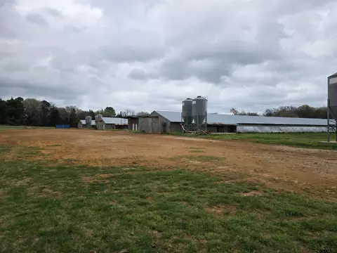 1886 Opossum Rd, Pittsburg, TX 75686