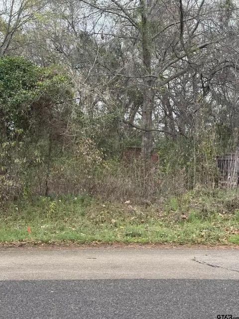 1303 Elysian Feilds Ave, Marshall, TX 75670