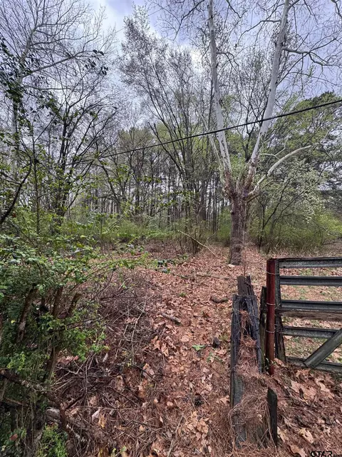 0 Elysian Feilds Ave, Marshall, TX 75670