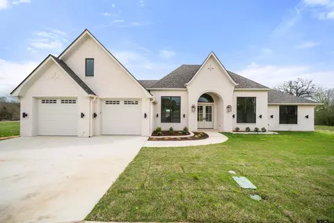 15163 Belle Springs Cv, Tyler, TX 75703