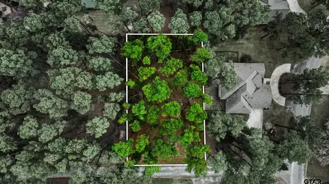 lot322 Section Pine Cone Gln, Holly Lake Ranch, TX 75765