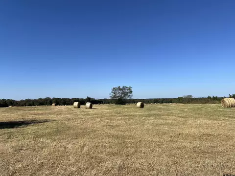tbd SW Cr 3010, Mount Vernon, TX 75457