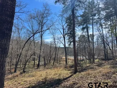 0 An County Road 319, Frankston, TX 75763