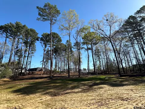 1769 Stoney Creek Park, Tyler, TX 75703