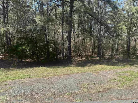 411 Cherokee Cove Dr, Jacksonville, TX 75766