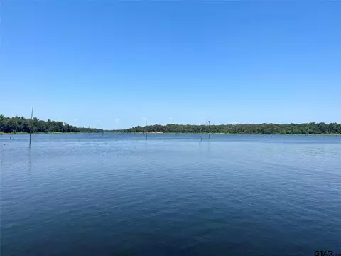 1 Angler Shores Dr, Yantis, TX 75497