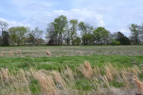 186 Private Road 5617, Alba, TX 75410