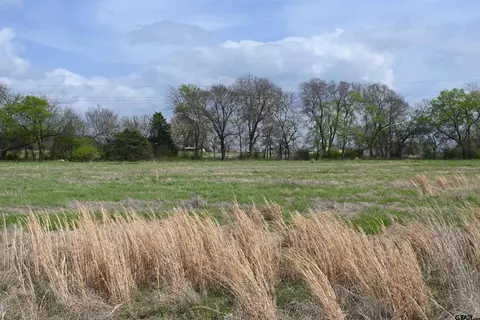 204 Private Road 5617, Alba, TX 75410