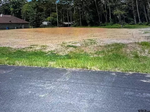 209 Peachtree Ln, Big Sandy, TX 75755