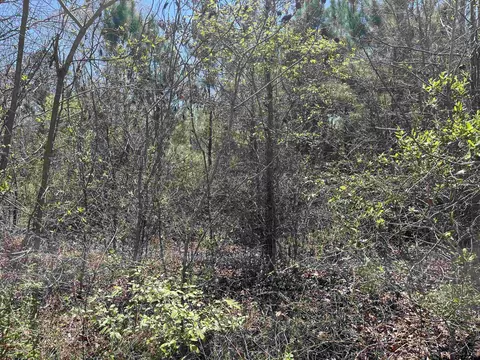 0000 Everitte Rd, Marshall, TX 75672 photo 2