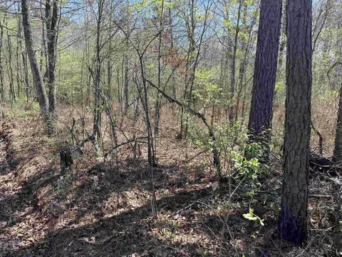 0000 Everitte Rd, Marshall, TX 75672 photo 4