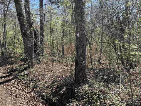 0000 Everitte Rd, Marshall, TX 75672 photo 6