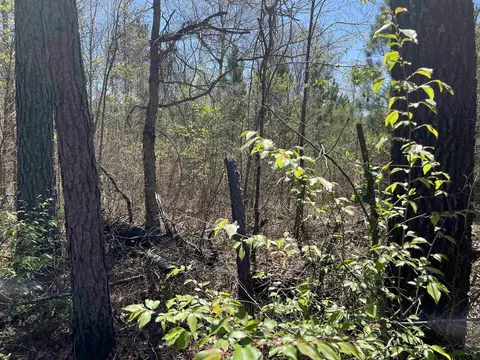 0000 Everitte Rd, Marshall, TX 75672