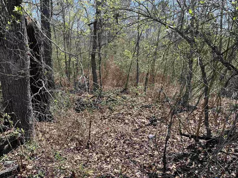 0000 Everitte Rd, Marshall, TX 75672 photo 3