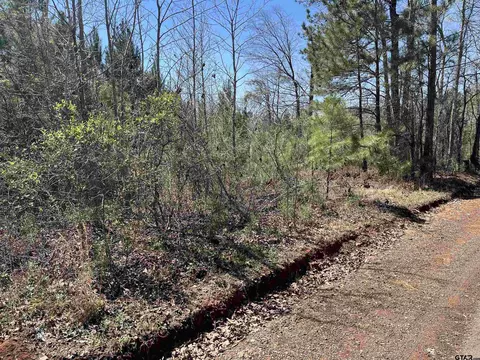 0000 Everitte Rd, Marshall, TX 75672 photo 7